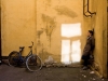 © Jan Ahlstedt